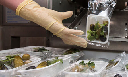 Производство оливок и закусок в Польше