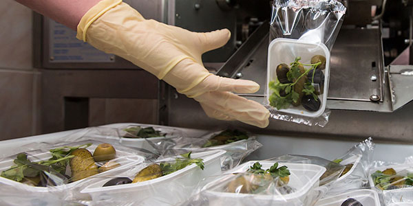 Производство оливок и закусок в Польше Производство оливок и закусок в Польше