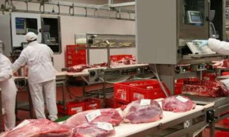 Производство копченых мясных изделий в Польше